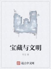 宝藏与文明txt精校