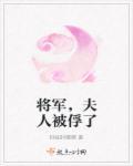 将军夫人要休夫