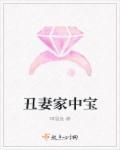 丑妻家中宝打三个数