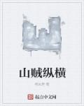 山贼类的