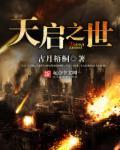 天启之世完整版