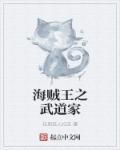 海贼王之武林高手