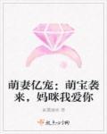 萌宝来袭妈咪我爹地呢全文免费阅读