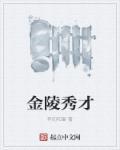 金陵琐事 秀才何岳