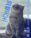 宠物天王在线观看