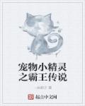 宠物小精灵剧场版凤王
