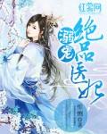 溺宠绝色神医妻