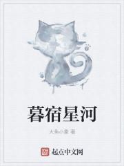 暮星是什么意思