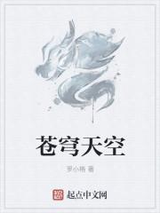苍穹天空手表价格