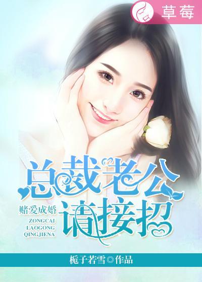 总裁的赌约