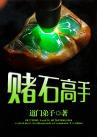 赌石高手笔趣阁首云树