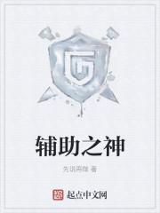 辅助神装