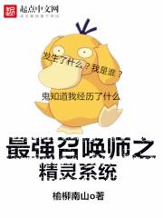 异界最强召唤师系统