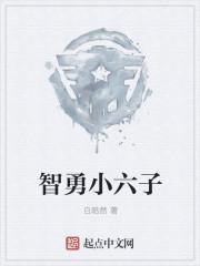 小六子个人简历