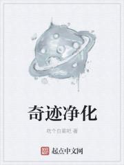 净化树奇迹要几个