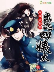 军阀大帅的出逃四姨太类似