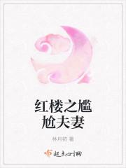 红楼之尴尬夫妻笔趣阁