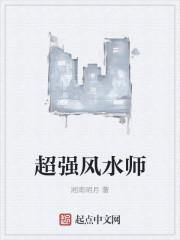 风水师专用卫星地图