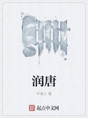 润唐电饭煲说明书