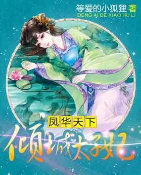 风华太子妃