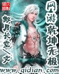网游之乾坤无极全集