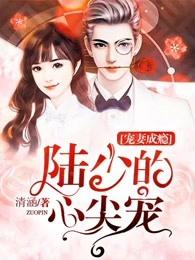 宠妻成瘾陆少的心尖宠第一季动态漫画在线观看