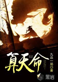 算天命3.8美化
