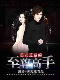 美女总裁的至尊豪婿