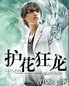 护花狂龙易军内容