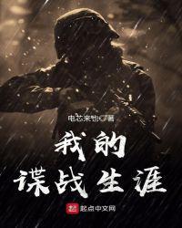 我的谍战生涯 第500章