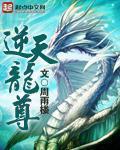 逆天龙尊短剧免费完整版