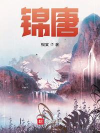 锦唐集团唐峰