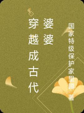 穿越古代婆婆的推荐