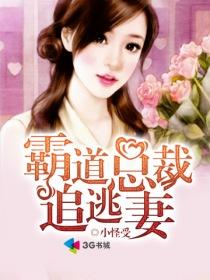霸道总裁追逃妻 冷依依