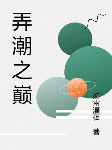 弄潮男主角履历
