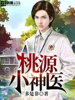 桃源小神医杨晨朱雪免费阅读