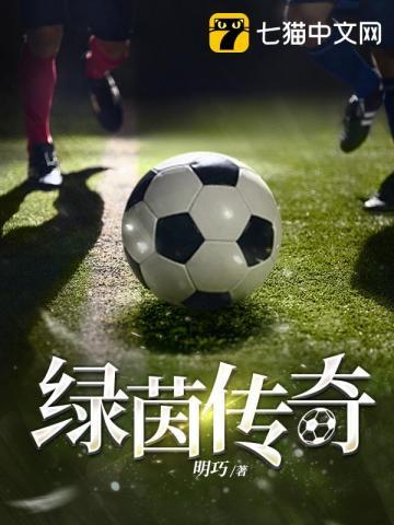 绿茵传奇十一人兑换码