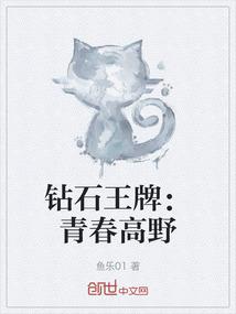 钻石王牌青春高野TXT