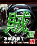 贼胆TXT全集