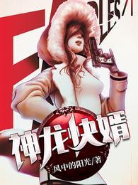 神龙快婿免费版