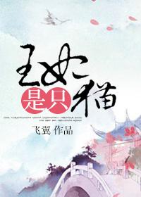 王妃是只猫第二季免费