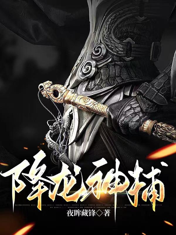 降龙电视剧