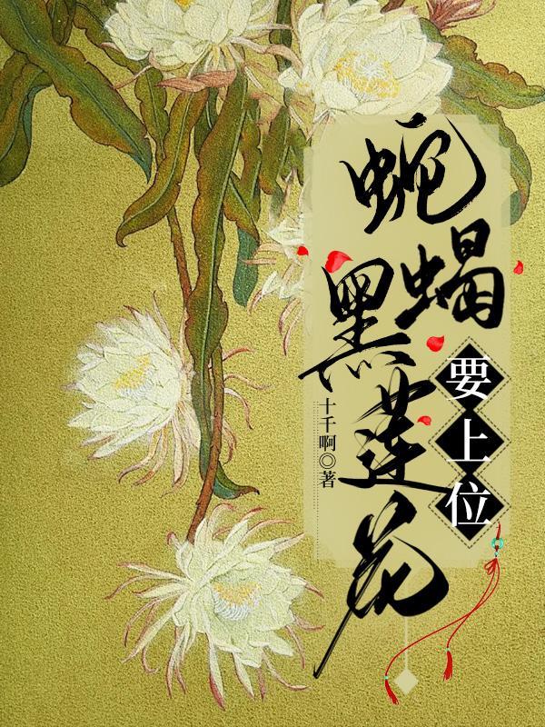 黑莲花上位手册1-100集免费
