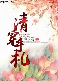 清穿作者