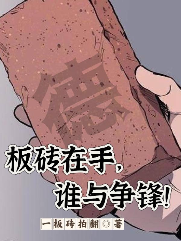 板砖用法
