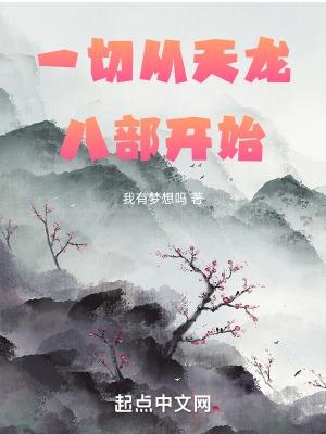 一切从天龙八部开始的