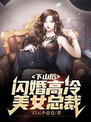闪婚高冷美女总裁白云小仓仓