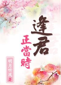 逢君正当时演员表介绍