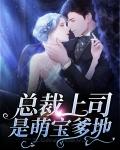 总裁爹上门免费阅读