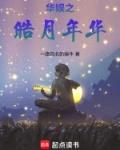 华娱之皓月年华篱笆好文学